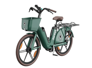 ForestCargo bike featuring the addition of a platform luggage rack over the rear wheel